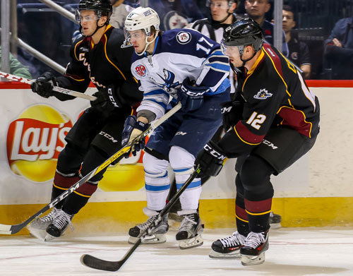 Cleveland Monsters vs. Manitoba Moose at Quicken Loans Arena
